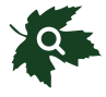 Search this website